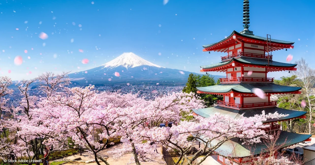 Kirschblüte in Tokyo