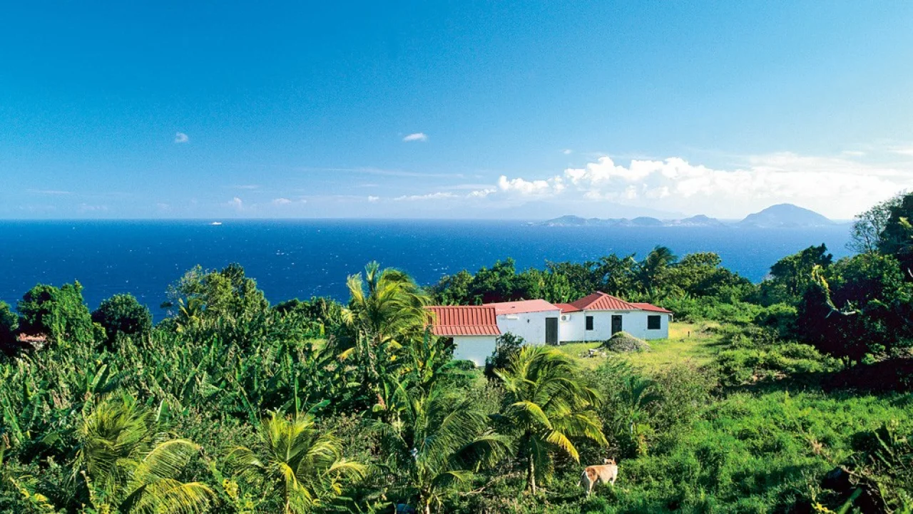 Hafenbild Pointe-à-Pitre (Guadeloupe)