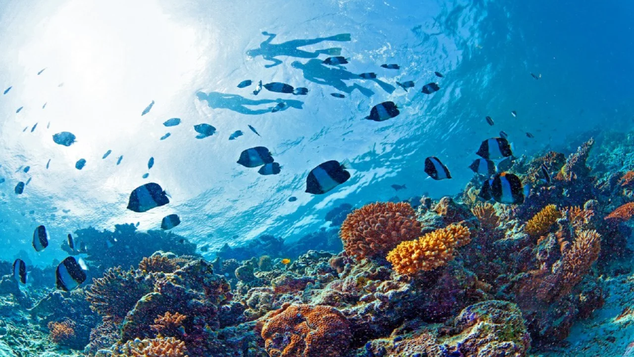 Hafenbild Grand Cayman