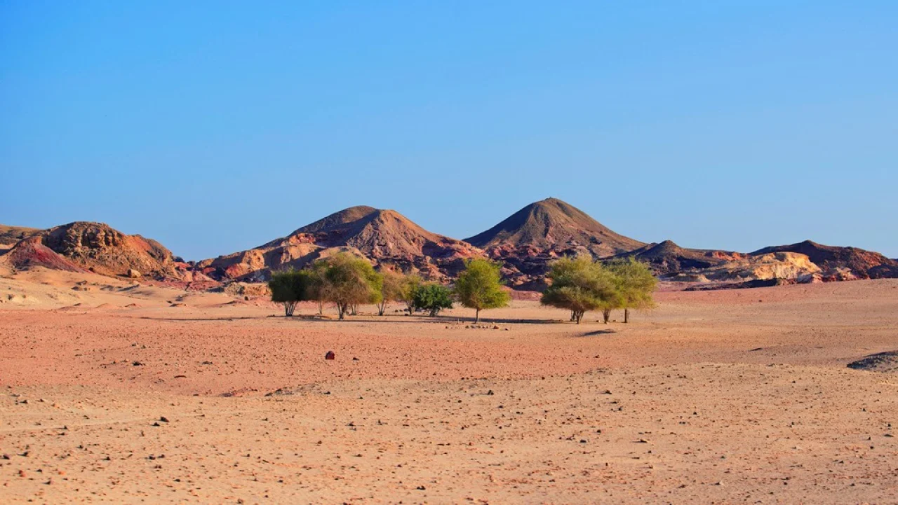 Hafenbild Sir Bani Yas Island