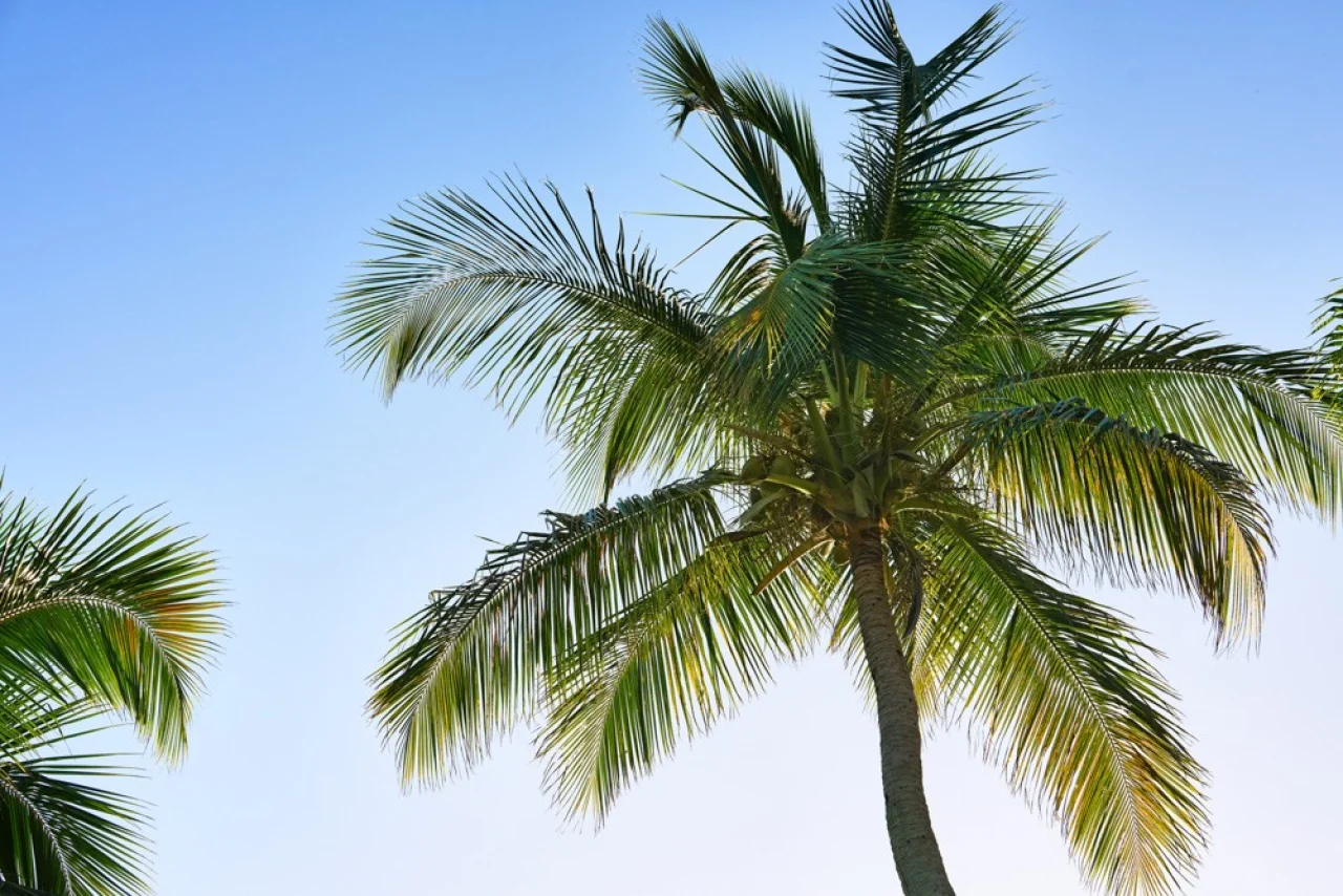 Hafenbild content/reisedaten/haefen/317/1/teaser.jpg