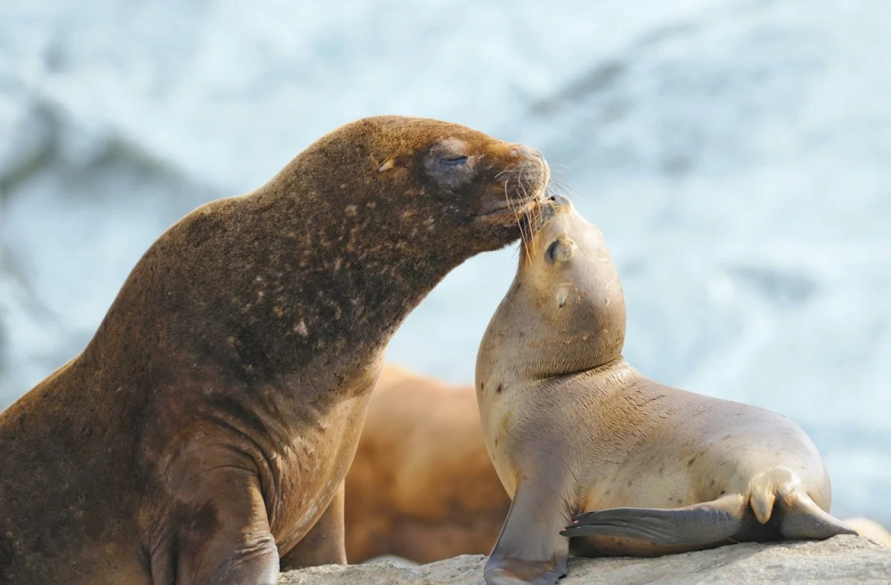 Hafenbild content/reisedaten/haefen/320/1/teaser.jpg