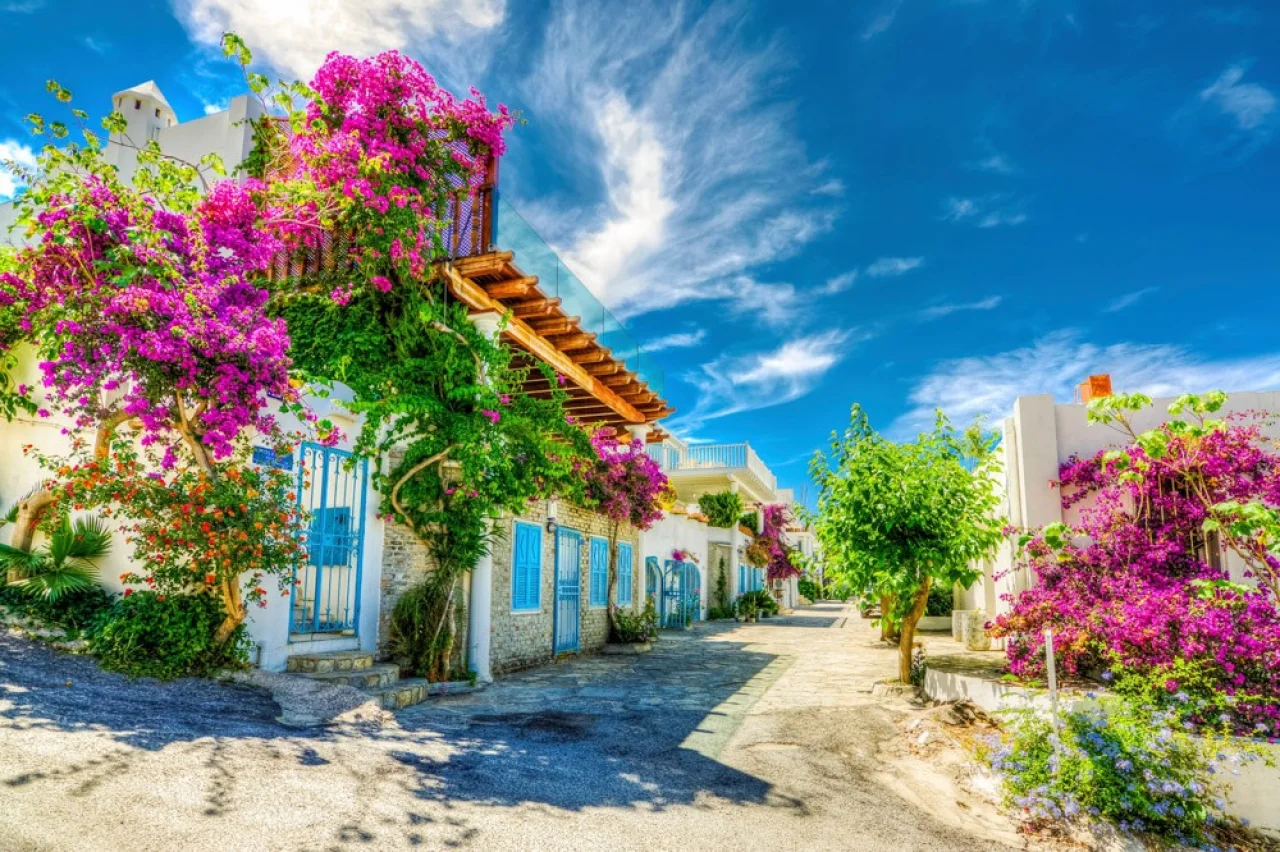 Hafenbild Bodrum