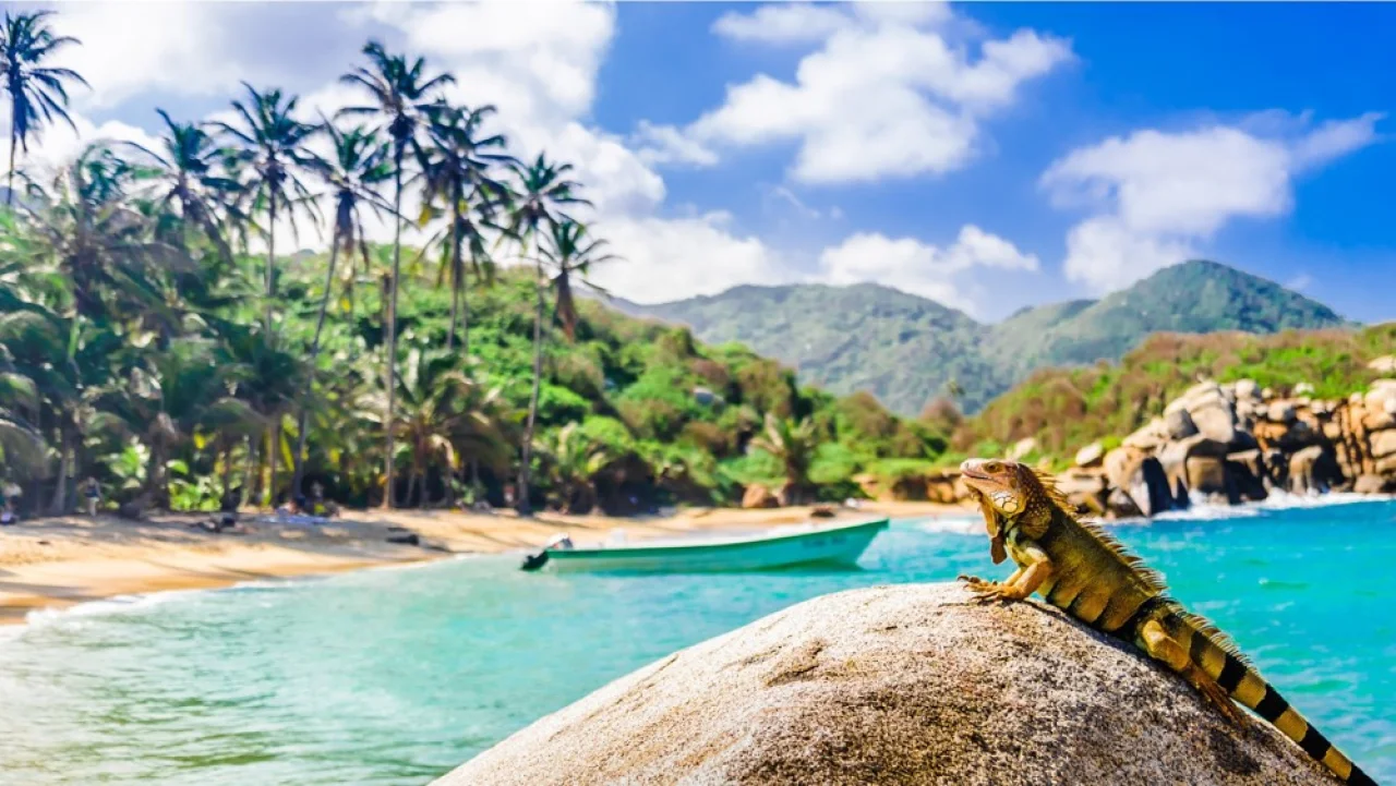 Hafenbild Santa Marta