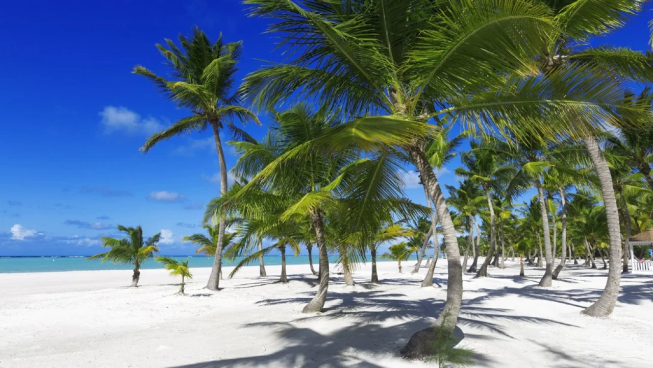 Hafenbild St. John's (Antigua)