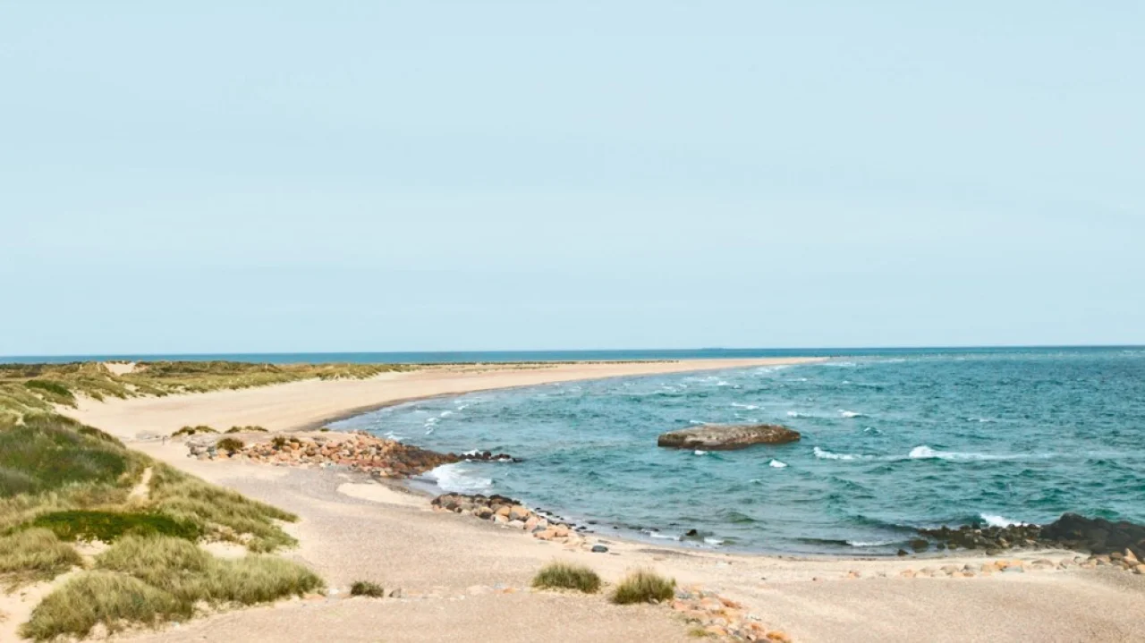 Hafenbild Skagen