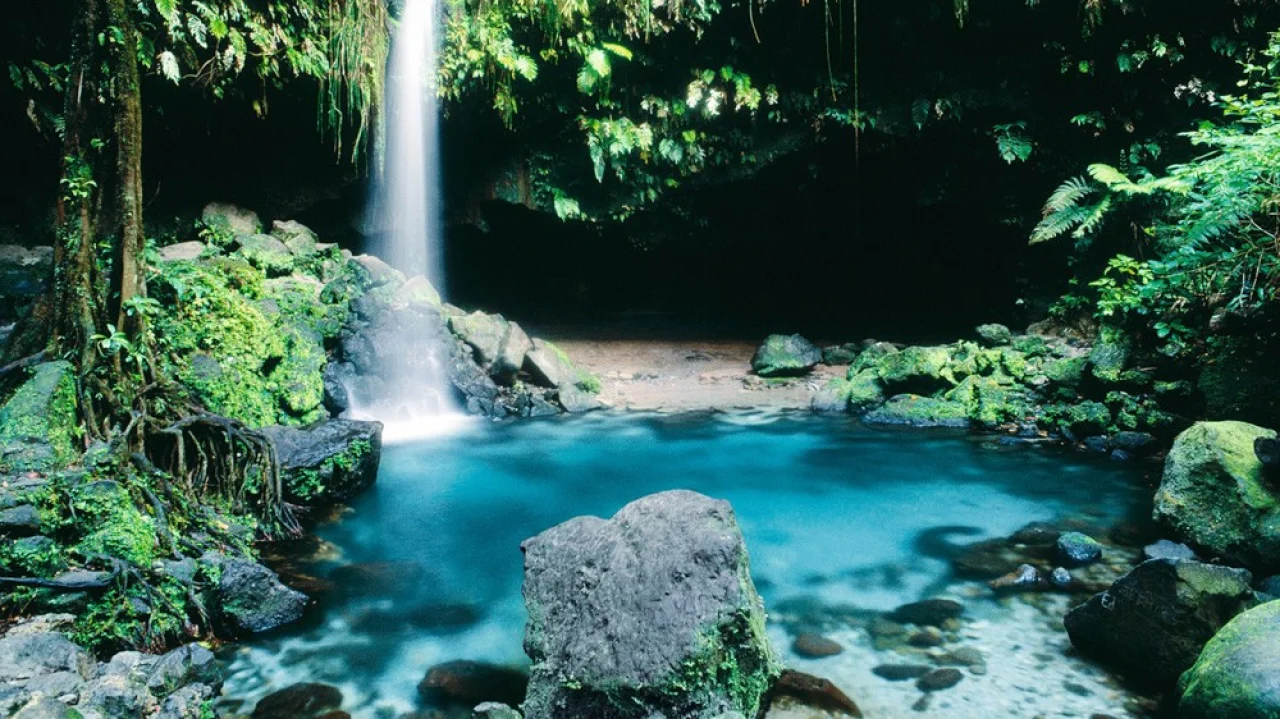 Hafenbild Roseau (Dominica)
