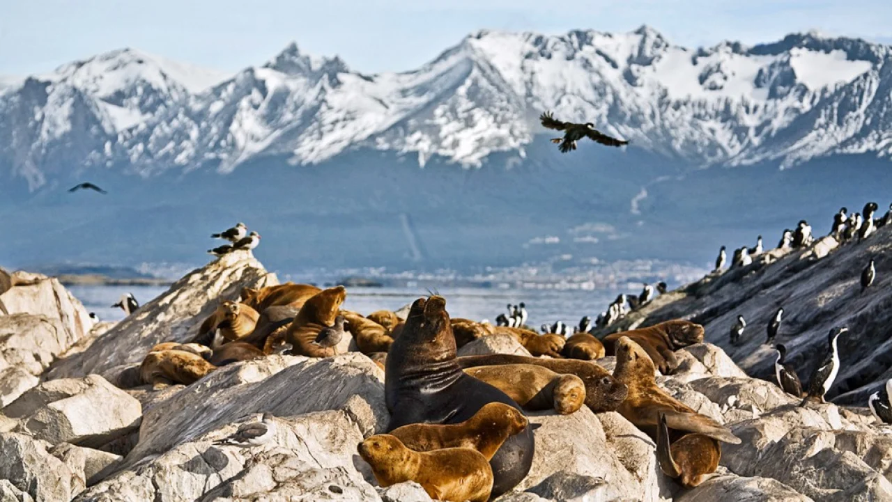 Hafenbild content/reisedaten/haefen/6/1/teaser.jpg