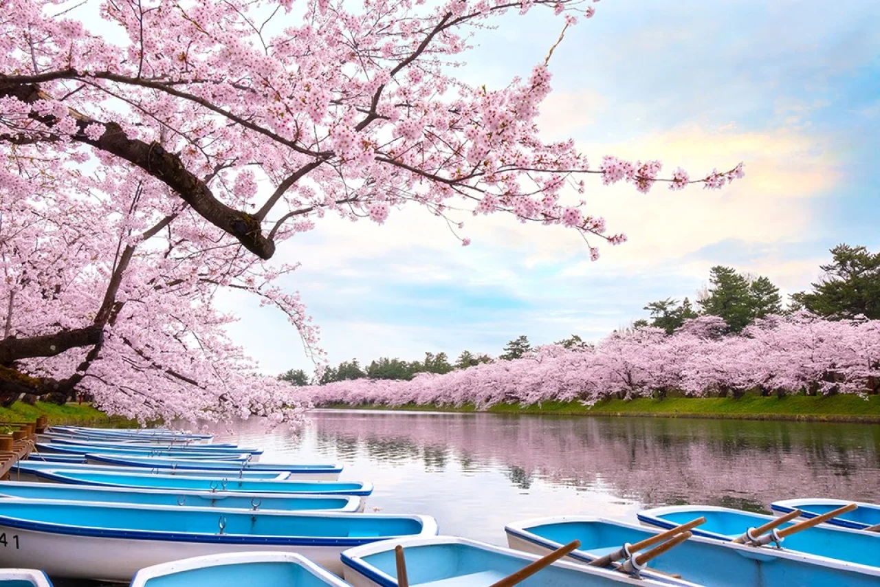 Hafenbild Aomori
