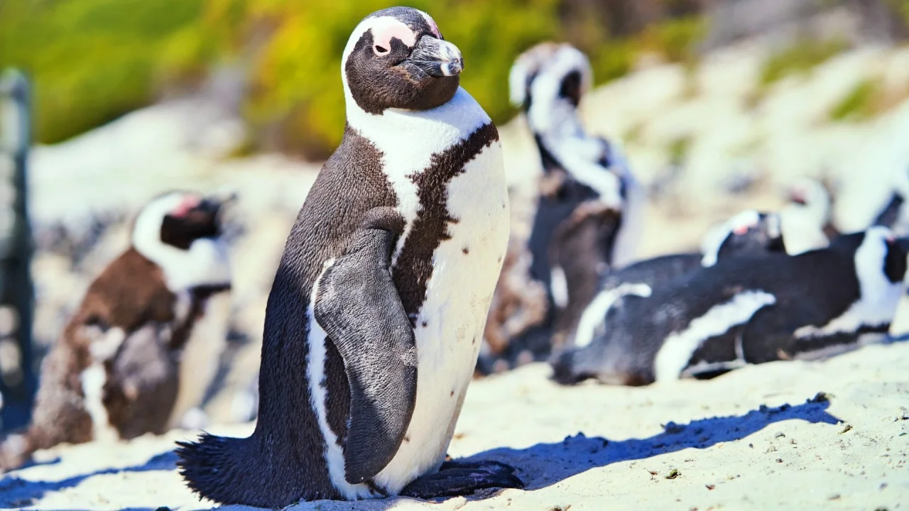 Hafenbild content/reisedaten/haefen/626/1/teaser.jpg