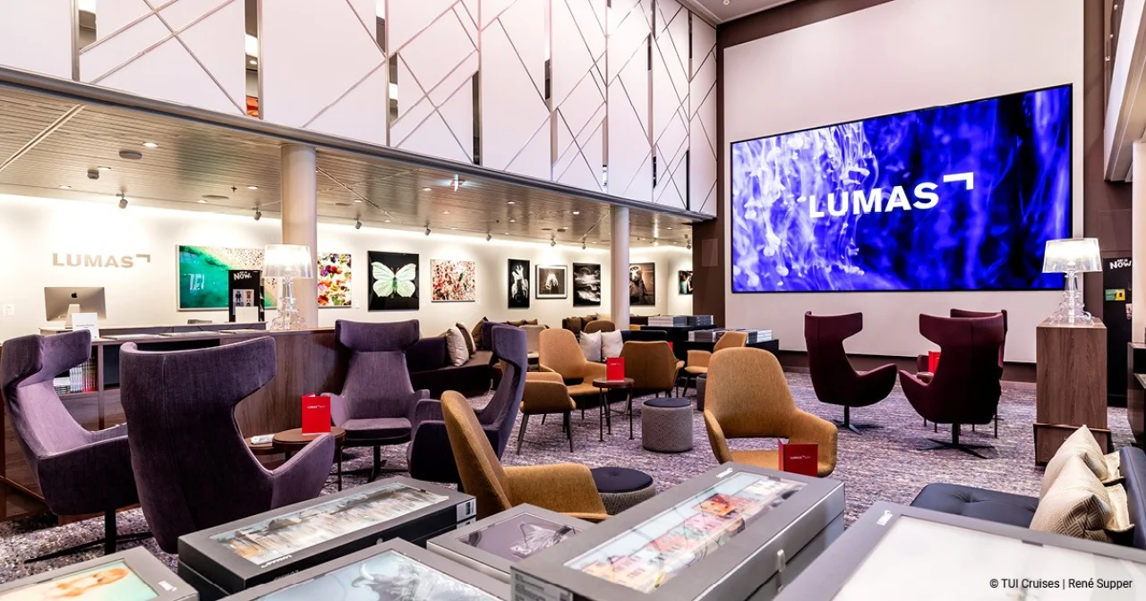 Galerie Bild