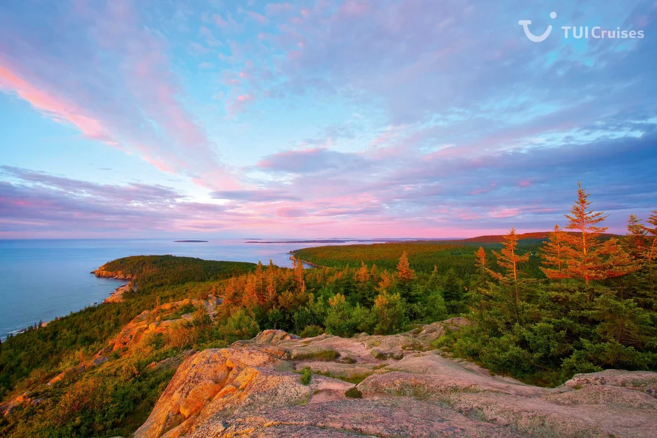 Teasergrafik Nordamerika