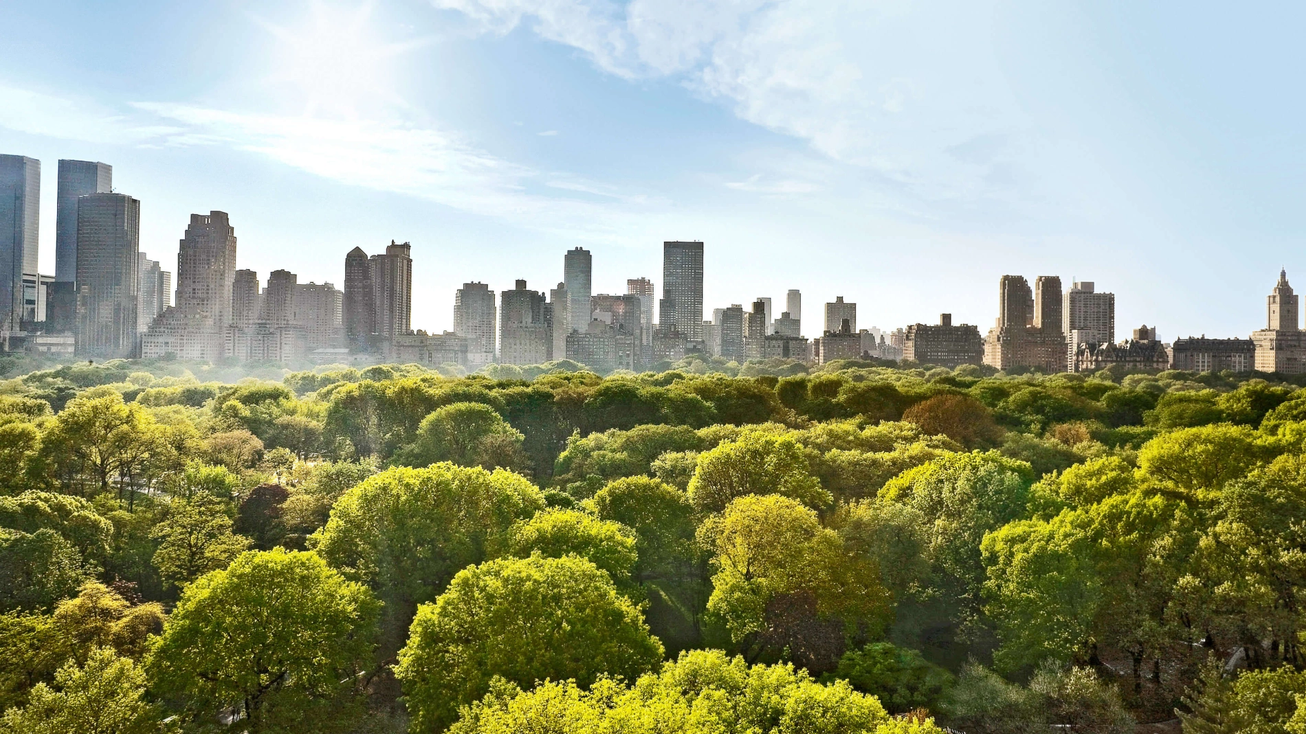 Teasergrafik Nordamerika